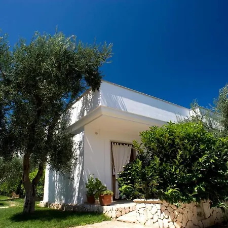 Ulivo Mit Pool Und Privatstrand -1 Holiday home *
