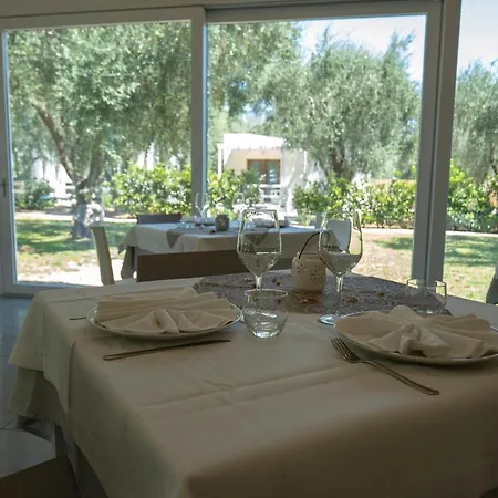 Ulivo Mit Pool Und Privatstrand -1 Holiday home *