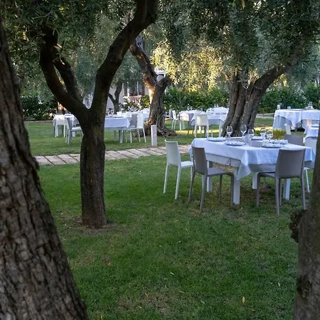Ulivo Mit Pool Und Privatstrand -1 Holiday home