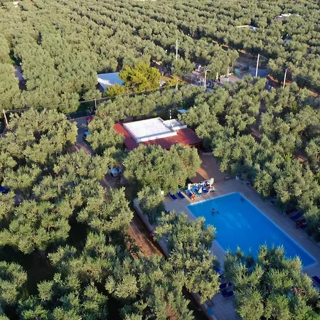 Holiday home Ulivo Mit Pool Und Privatstrand -1 *