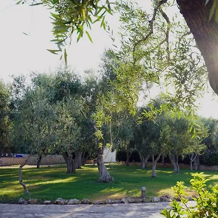 Ulivo Mit Pool Und Privatstrand -1 *
