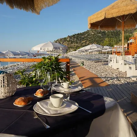 Ulivo Mit Pool Und Privatstrand -1 Holiday home *
