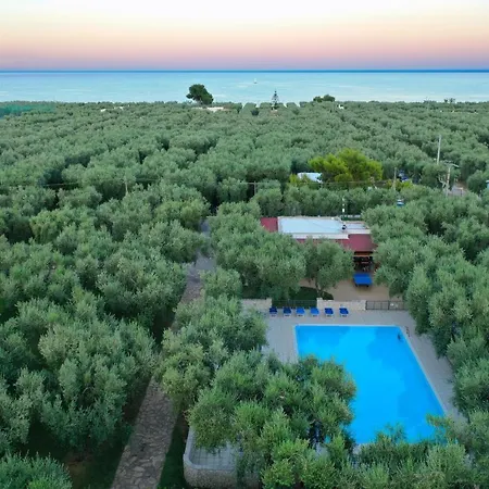 Holiday home Ulivo Mit Pool Und Privatstrand -1 *