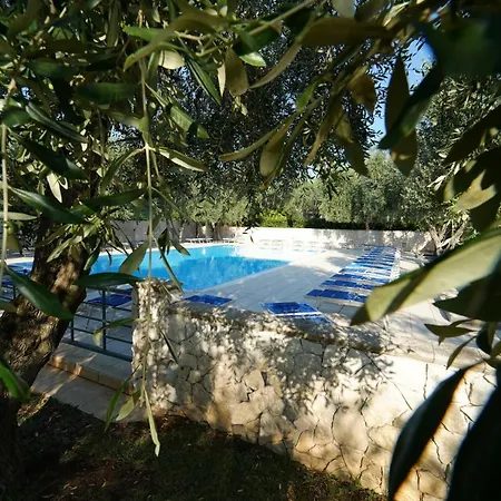 Holiday home Ulivo Mit Pool Und Privatstrand -1 *