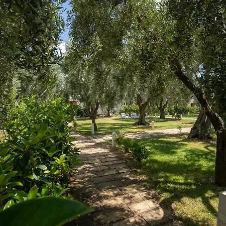 Ulivo Mit Pool Und Privatstrand -1 Mattinata