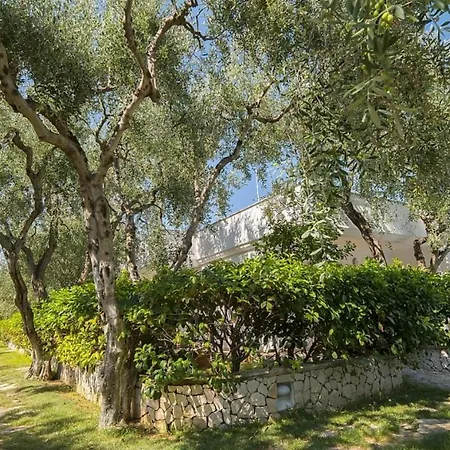 Ulivo Mit Pool Und Privatstrand -1