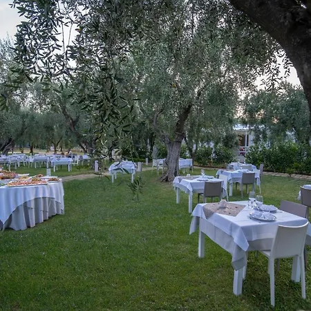 Ulivo Mit Pool Und Privatstrand -1 Holiday home *