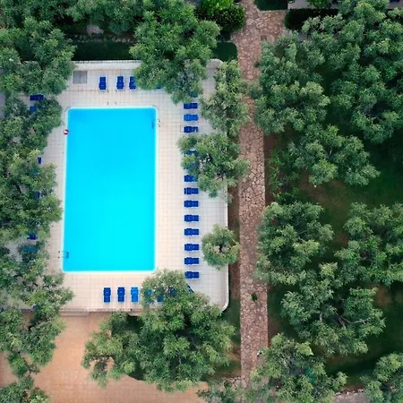 Ulivo Mit Pool Und Privatstrand -1 Holiday home Mattinata