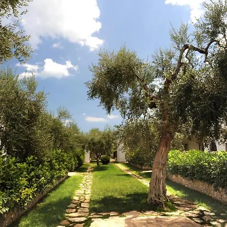 Ulivo Mit Pool Und Privatstrand -1 Mattinata