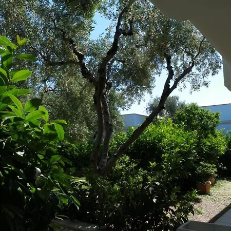Ulivo Mit Pool Und Privatstrand -1 * Mattinata