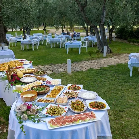 Ulivo Mit Pool Und Privatstrand -1 Holiday home