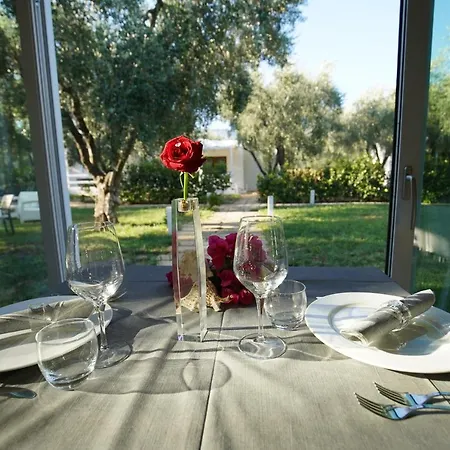 Ulivo Mit Pool Und Privatstrand -1 Holiday home Mattinata