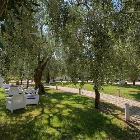 Holiday home Ulivo Mit Pool Und Privatstrand -1 Mattinata